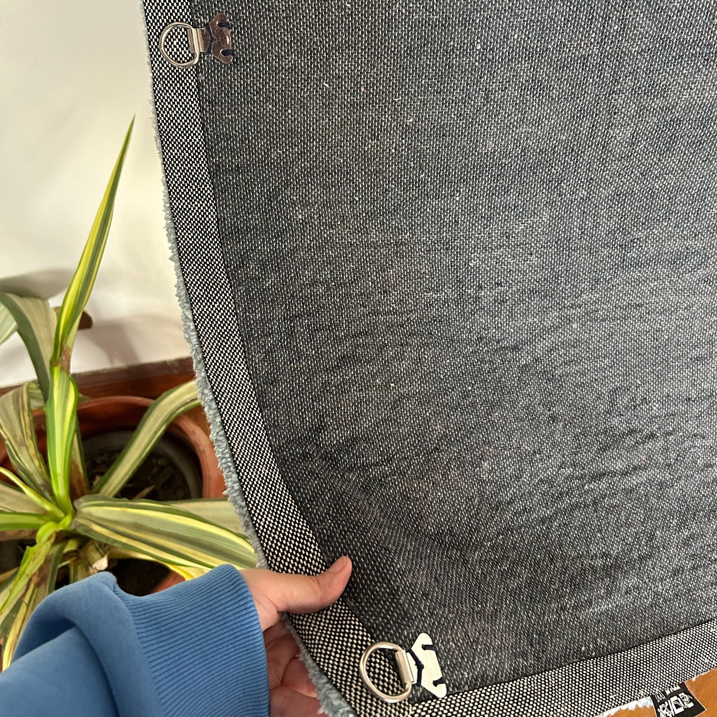 Tufted Five Pound Banknote